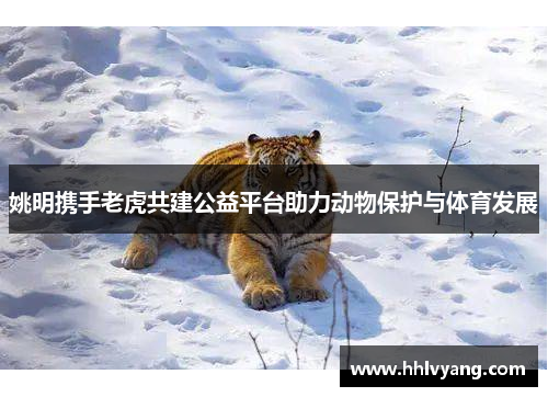 姚明携手老虎共建公益平台助力动物保护与体育发展