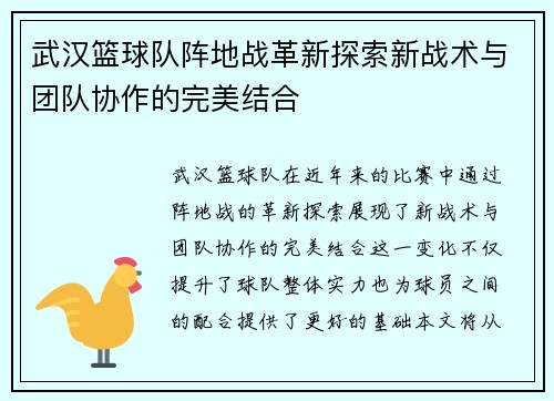武汉篮球队阵地战革新探索新战术与团队协作的完美结合