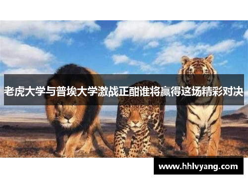 老虎大学与普埃大学激战正酣谁将赢得这场精彩对决